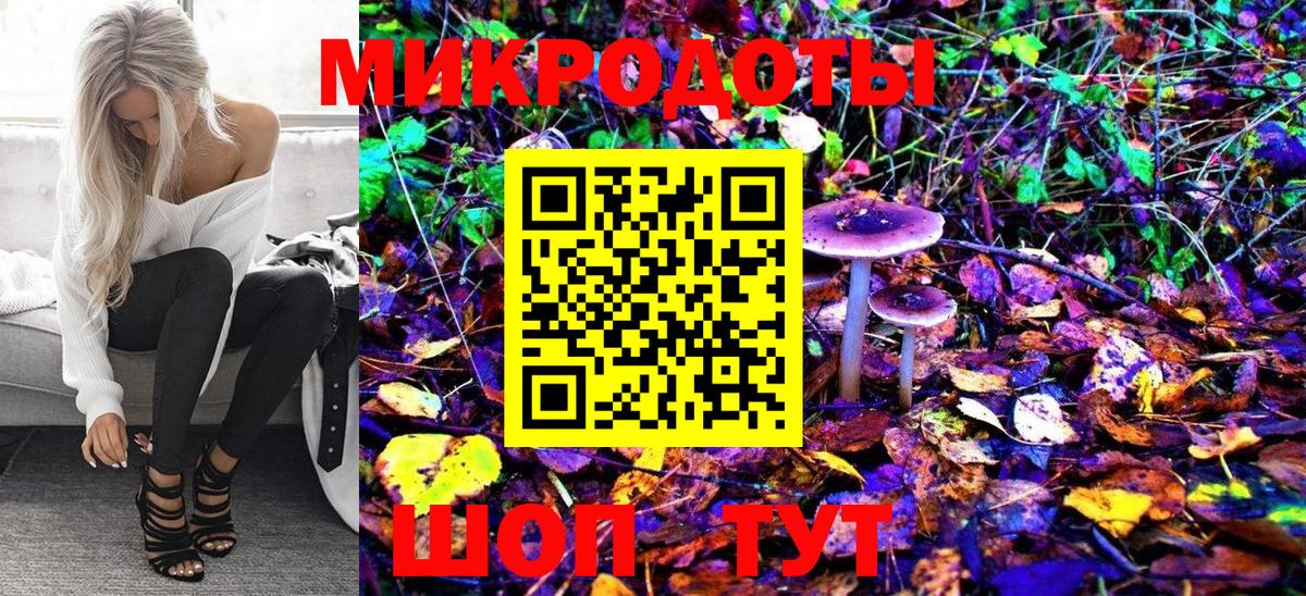 Псилоцибиновые грибы мухоморы  Псилоцибиновые грибы Magic Shrooms  Сальск  Вход с VPN 